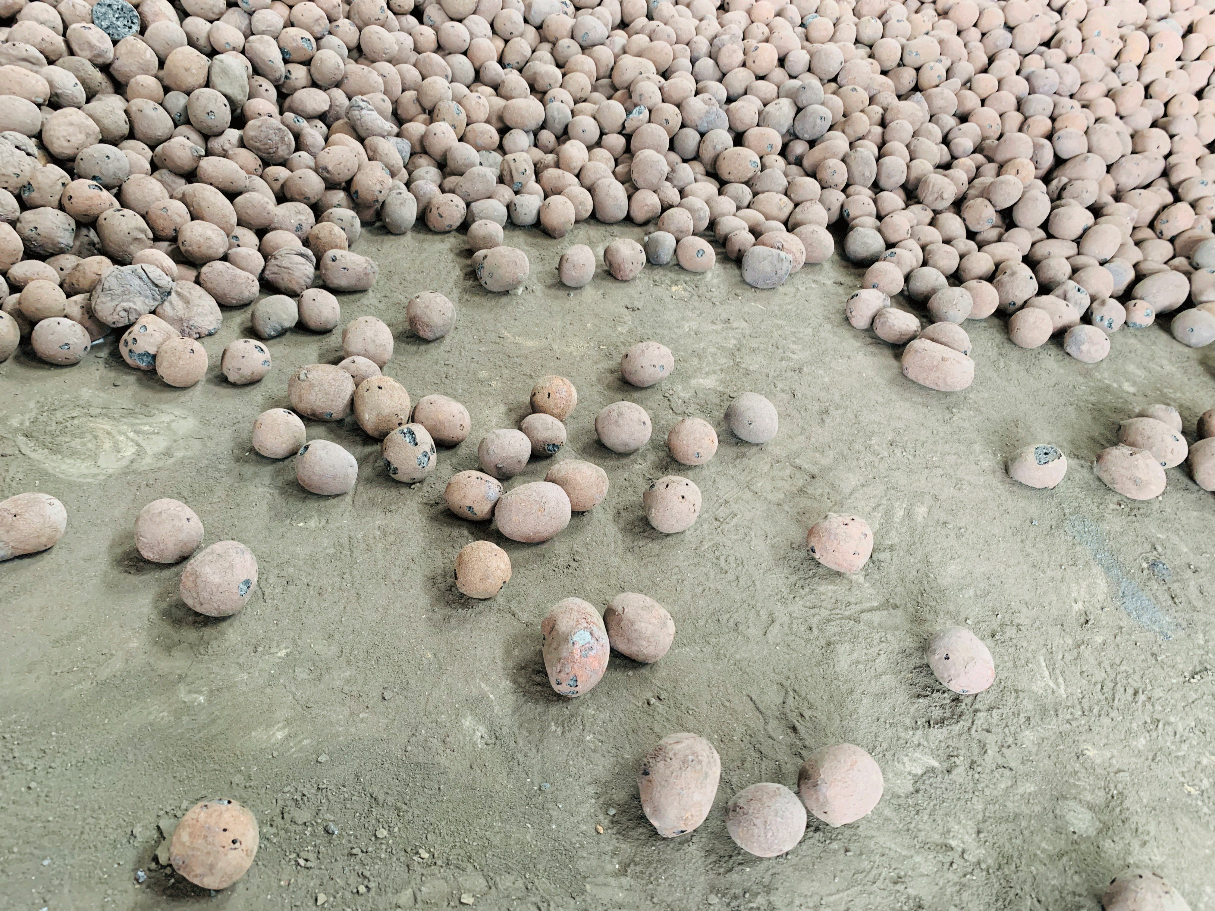 撫州陶粒_撫州陶粒批發(fā)_衛(wèi)生間回填陶粒 撫州陶粒_撫州陶粒批發(fā)_衛(wèi)生間回填陶粒