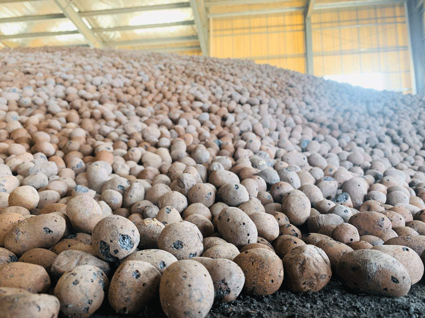 撫州陶粒_撫州陶粒批發(fā)_衛(wèi)生間回填陶粒 撫州陶粒_撫州陶粒批發(fā)_衛(wèi)生間回填陶粒