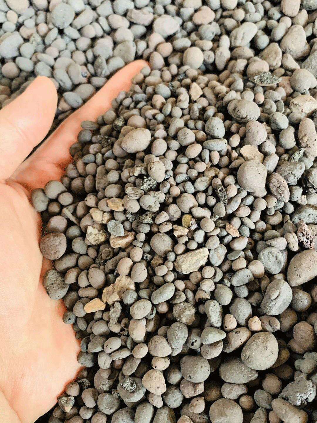 撫州陶粒_撫州陶粒批發(fā)_衛(wèi)生間回填陶粒 撫州陶粒_撫州陶粒批發(fā)_衛(wèi)生間回填陶粒